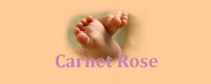 carnet-rose ready